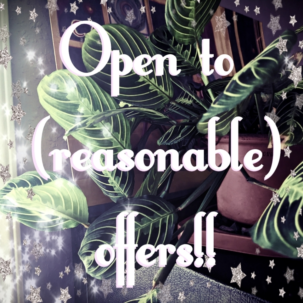Make an offer!
